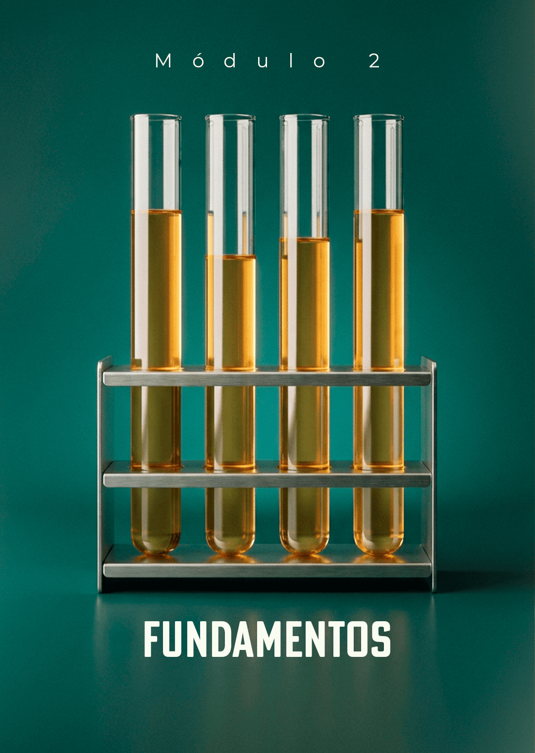 modulo-2.png